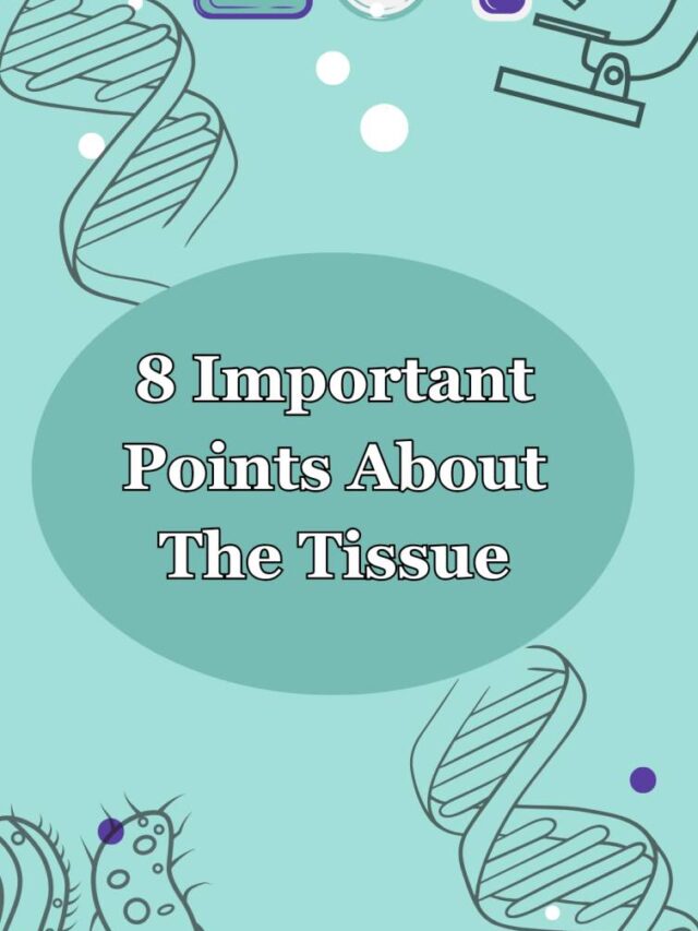 8 Important Points About The Tissues